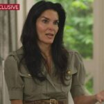 Angie Harmon speaks out for 1st time since delivery person shot and killed family dog