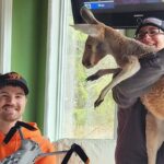 Chesney the kangaroo flees petting zoo for three days on the lam