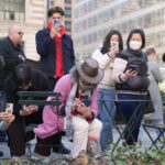 New Yorkers flock to Manhattan park for lovable woodcocks’ bobbing strut