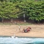 Pilot says Hawaii tour helicopter vibrated and spun before crash killed 3