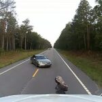 Video shows moment truck-driving preacher helps thwart alleged kidnapping