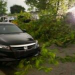Officials search tornado-damaged areas after strong storms hit Illinois and Indiana