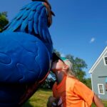 Giant metal roosters spread autism acceptance in Maine after town zoning spat