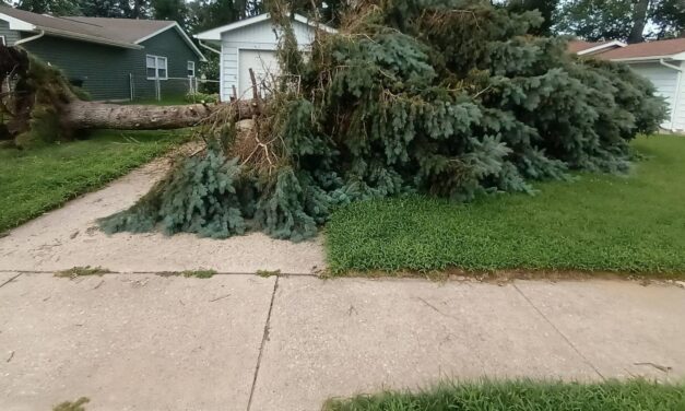 Tens of thousands in Indiana are still without power a week after deadly storms