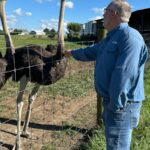Kentucky man with a meat allergy was craving a burger. So he got into ostrich farming