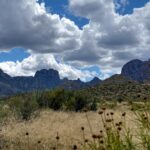 Trump administration considers scaling back border project in Texas’ Big Bend National Park