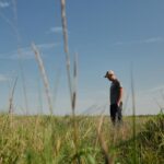 Farmers turn to perennial grains as one solution to extreme weather