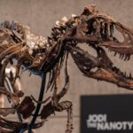A dinosaur fossil that looks like a mini T. rex just sold for a giant $47 million