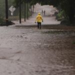 Nolo strengthens to a hurricane again in the Pacific Ocean