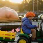 Giant pumpkins battle for heavyweight glory and the world record in California