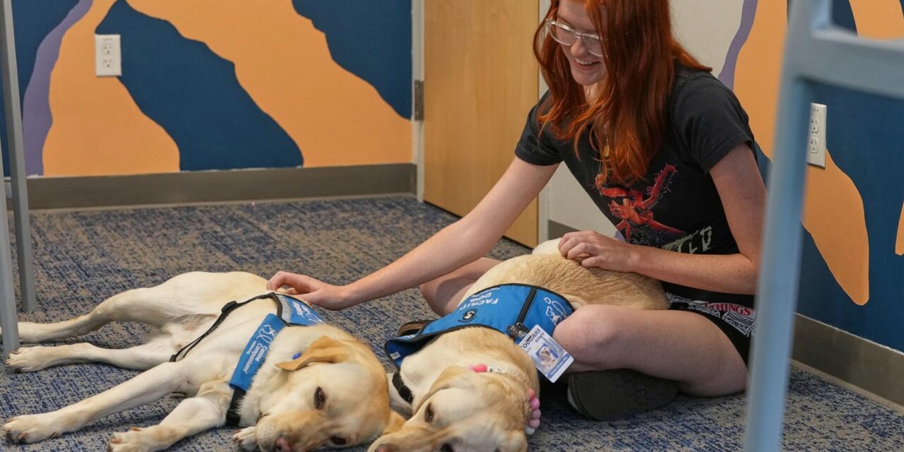Therapy dogs bring calm and joy to students after shooting at Colorado high school