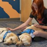 Therapy dogs bring calm and joy to students after shooting at Colorado high school
